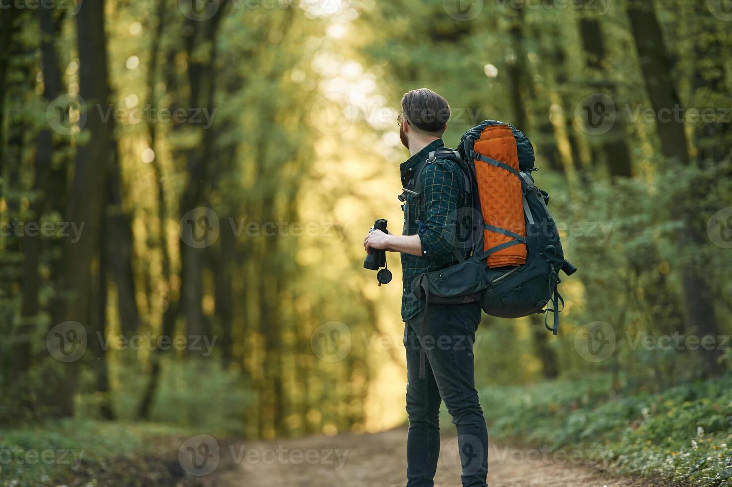 On, the pathway with binoculars. Bearded man is in the forest at daytime photo
