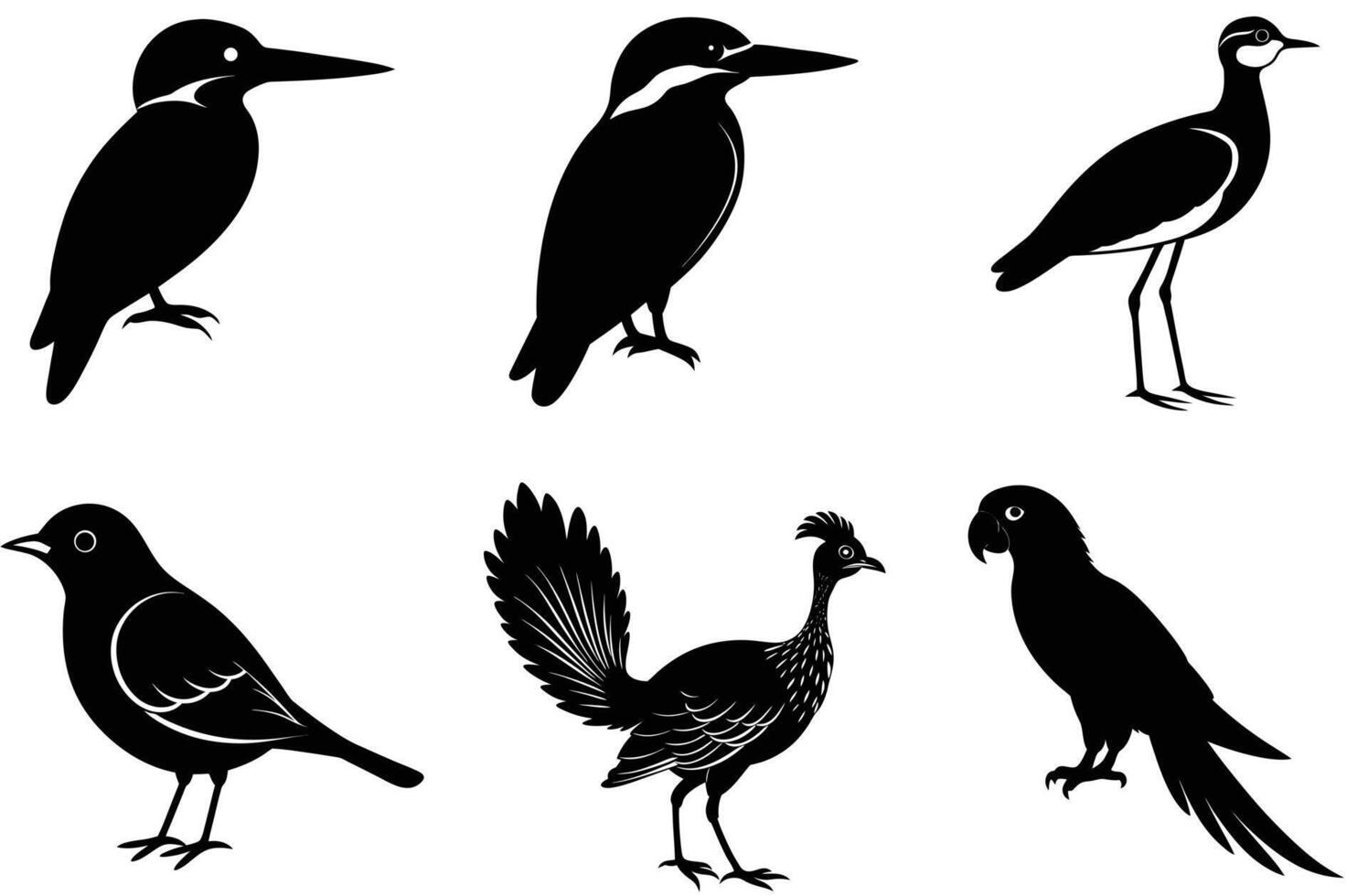 A collection of stylized black silhouette illustrations of diverse bird species, including kingfishers, lark, lapwing, macaw, lyrebird. vector