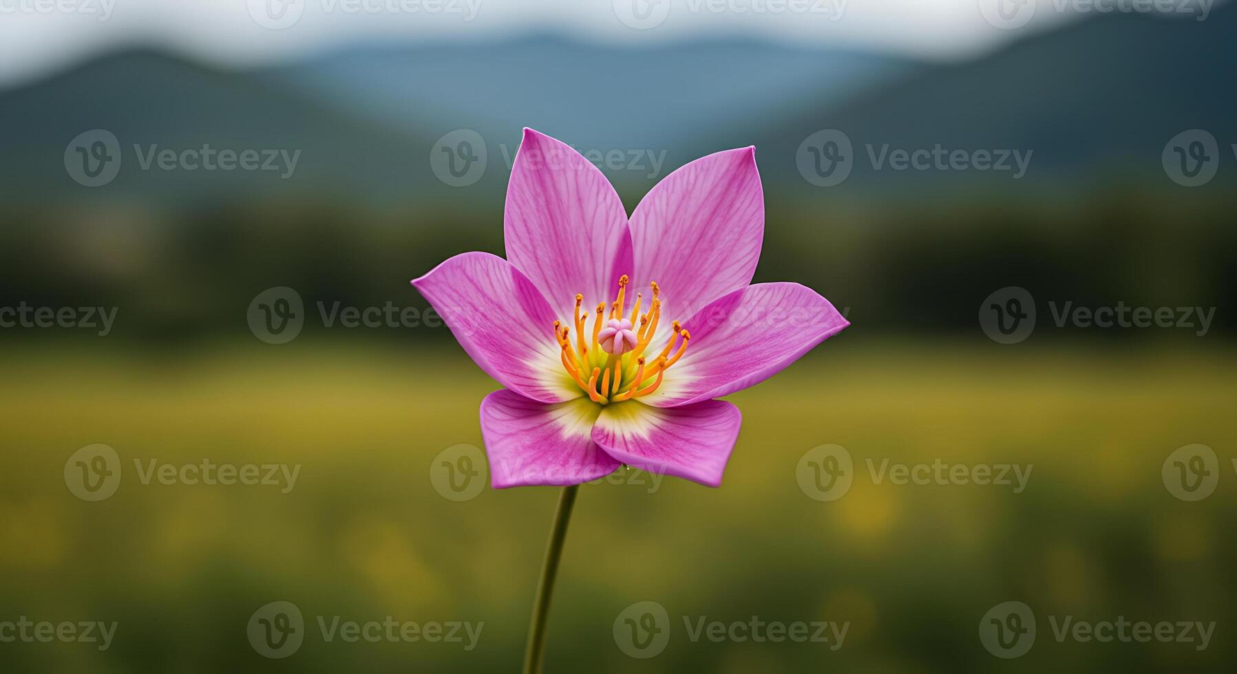 Blooming Garden Flower Captured in Ultra High Definition Close-Up photo