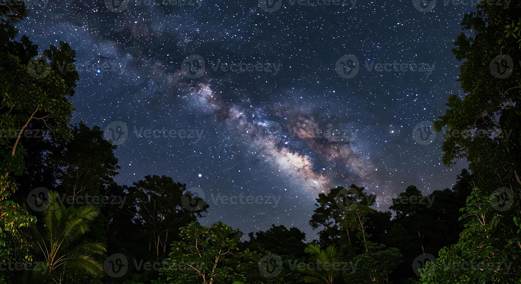 Milky Way Galaxy Shining Above Tropical Forest Trees at Night photo
