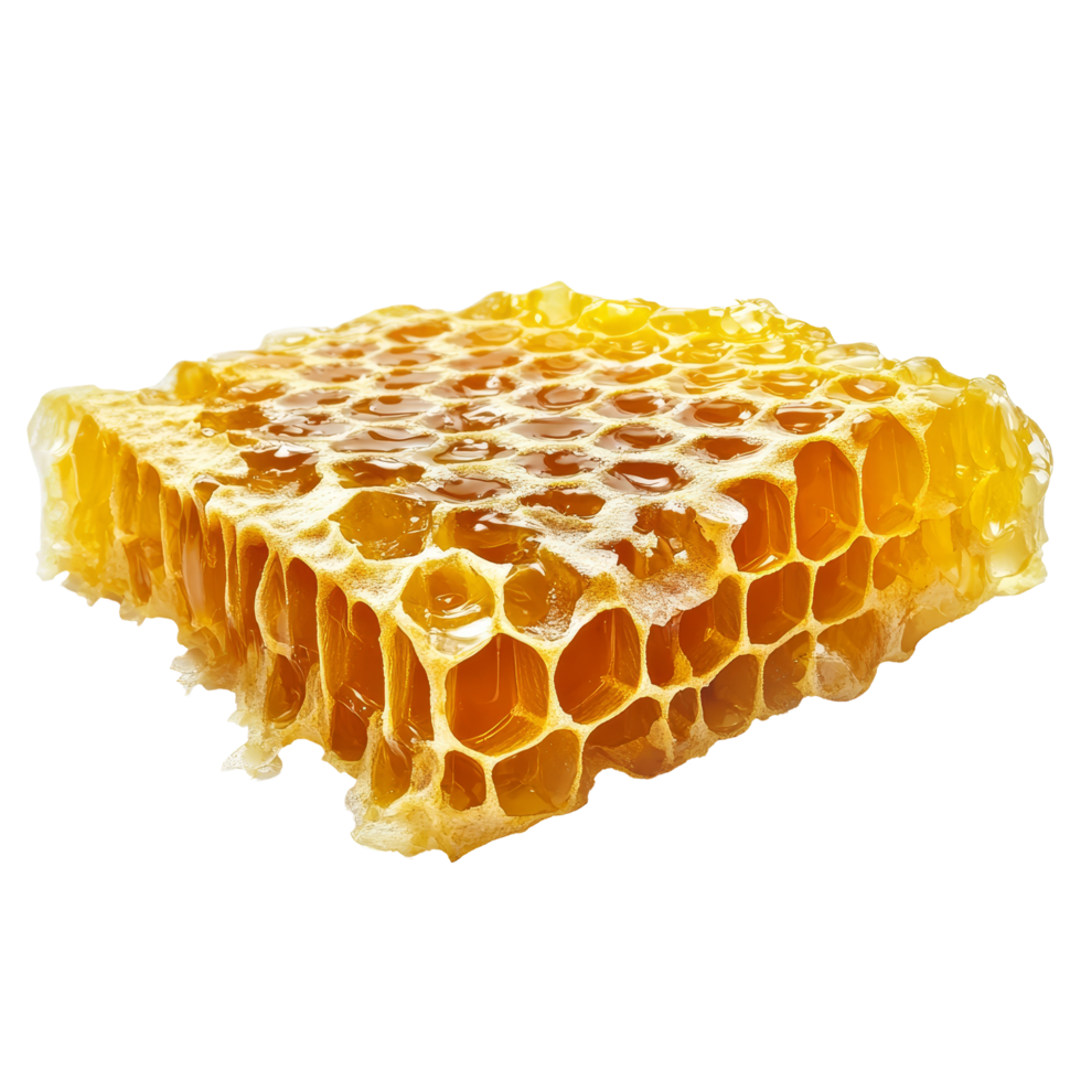 Golden honeycomb with natural wax structure on a clean transparent background for culinary presentation, Honeycomb on a transparent background png