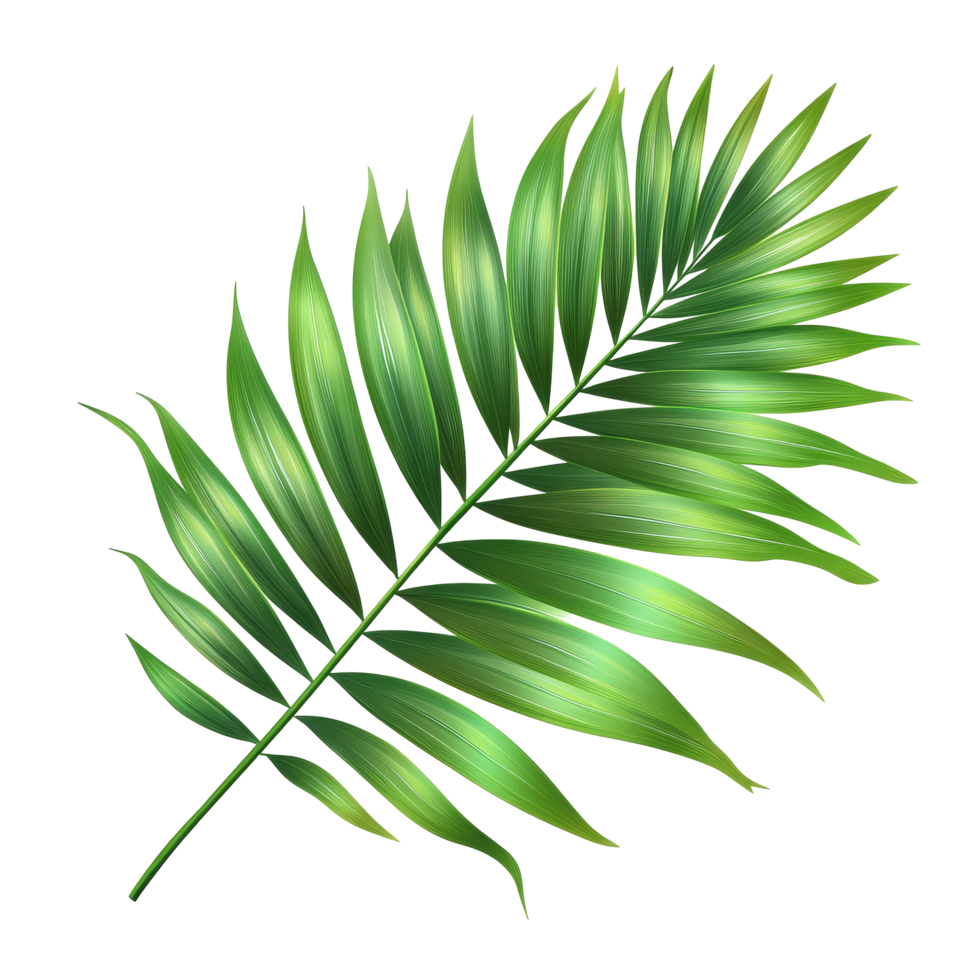 Lush green palm leaf showcasing tropical nature, perfect for adding a vibrant touch to any design project, tropical green palm leaf tree isolated on transparent background png