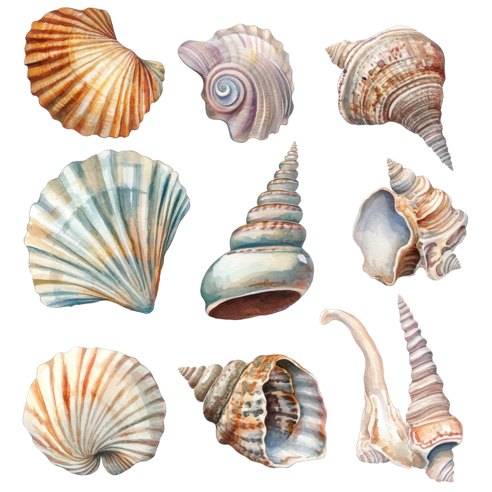 Vintage watercolor shells in various shapes and colors arranged on a transparent background, evoking coastal serenity, Retro vintage shells on transparent background png