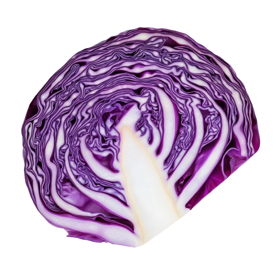 Freshly sliced purple cabbage isolated on a transparent background ready for culinary use in healthy meals and salads, slice fresh purple cabbage isolated on transparent background png