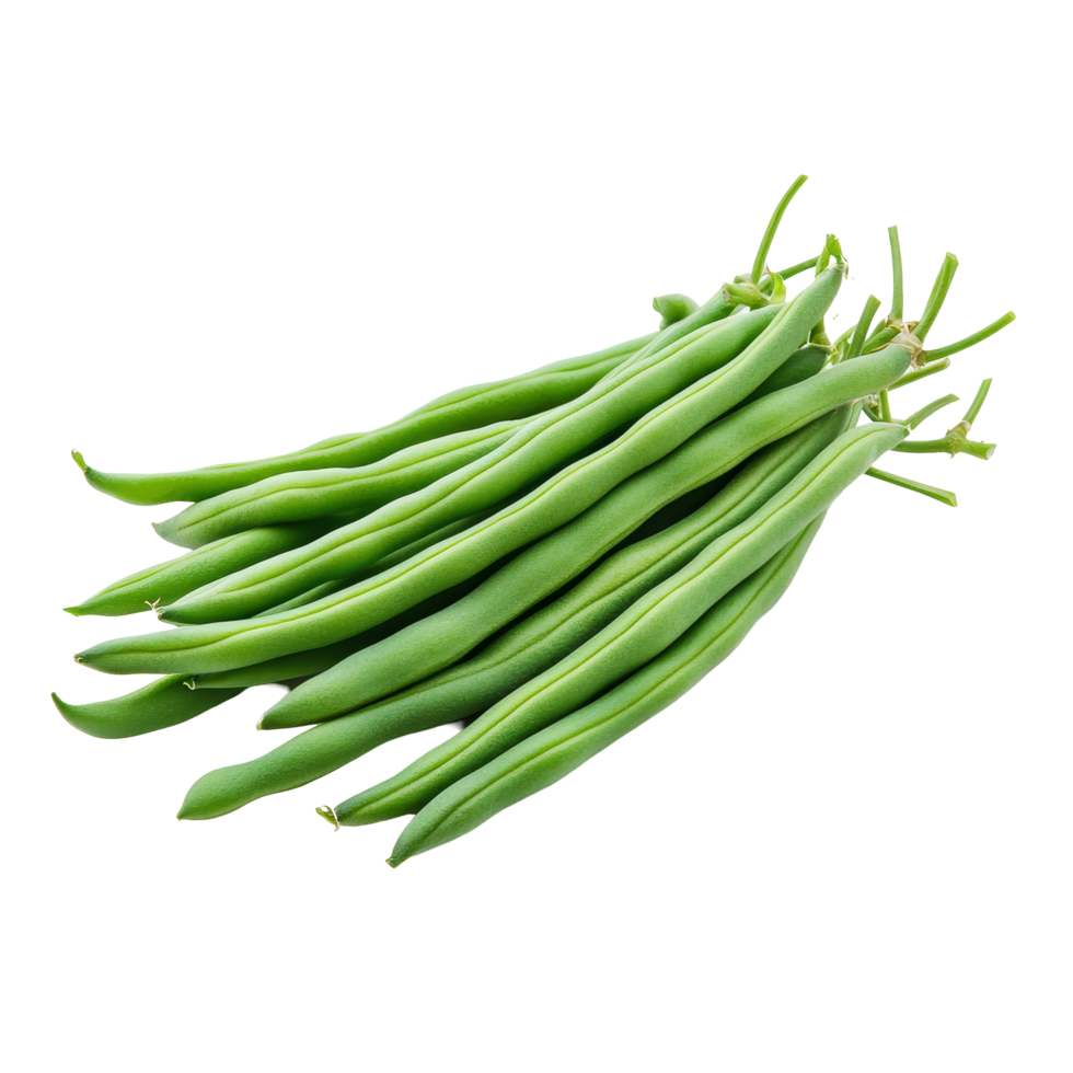 Fresh green beans arranged neatly on a clean transparent background showcasing their vibrant color and texture, green beans on transparent background png