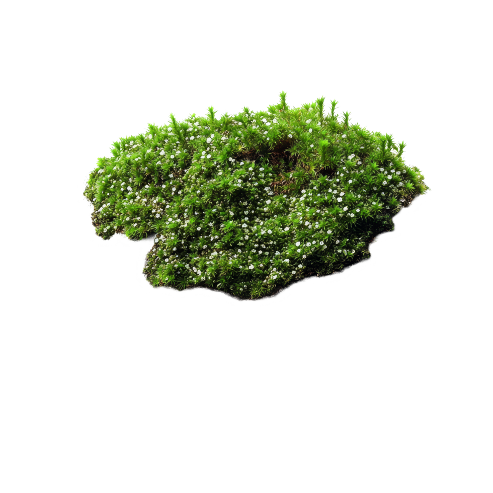 Green moss growing on a stone with a transparent background, showcasing natures resilience and beauty, Green moss on stone transparent background png