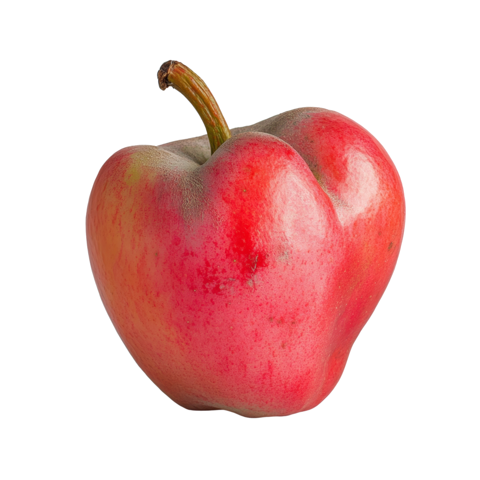 Fresh and vibrant rose apple displayed against a clean transparent background for enhanced visual appeal, rose apple on transparent background png