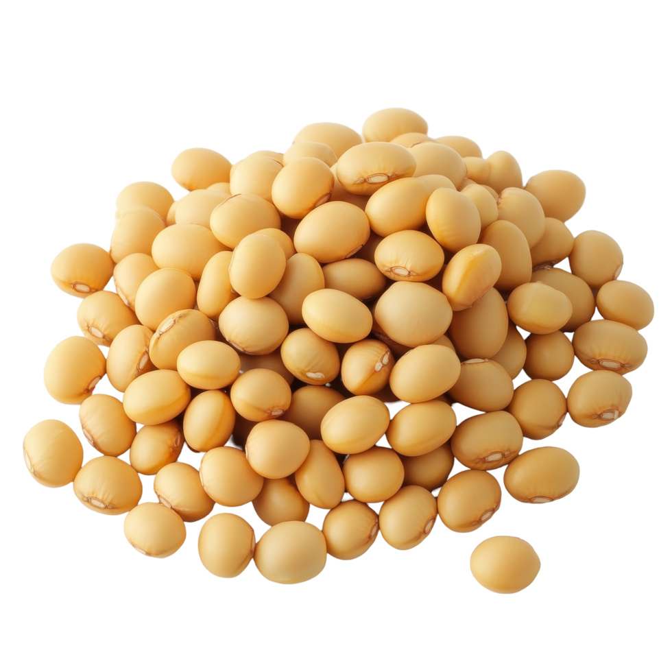 Aerial view of a mound of isolated soybean seeds showcasing their unique appearance in natural light, Different angle of individual soybean isolated png