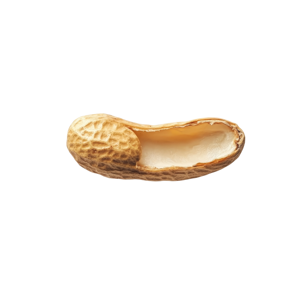 A single peanut resting on a clean transparent background highlighting its unique shape and texture, Peanut on transparent background png