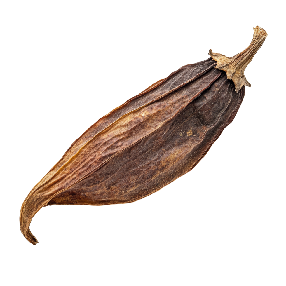 Dried puya pepper with rich colors and textures isolated on a transparent background for culinary use, dried puya pepper isolated on transparent background png