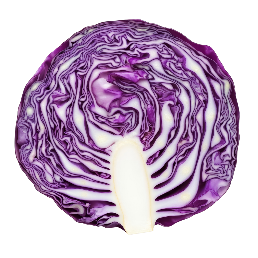 Freshly sliced red cabbage isolated on a transparent background showcasing its vibrant color and intricate layers, Red cabbage slice isolated on transparent background png