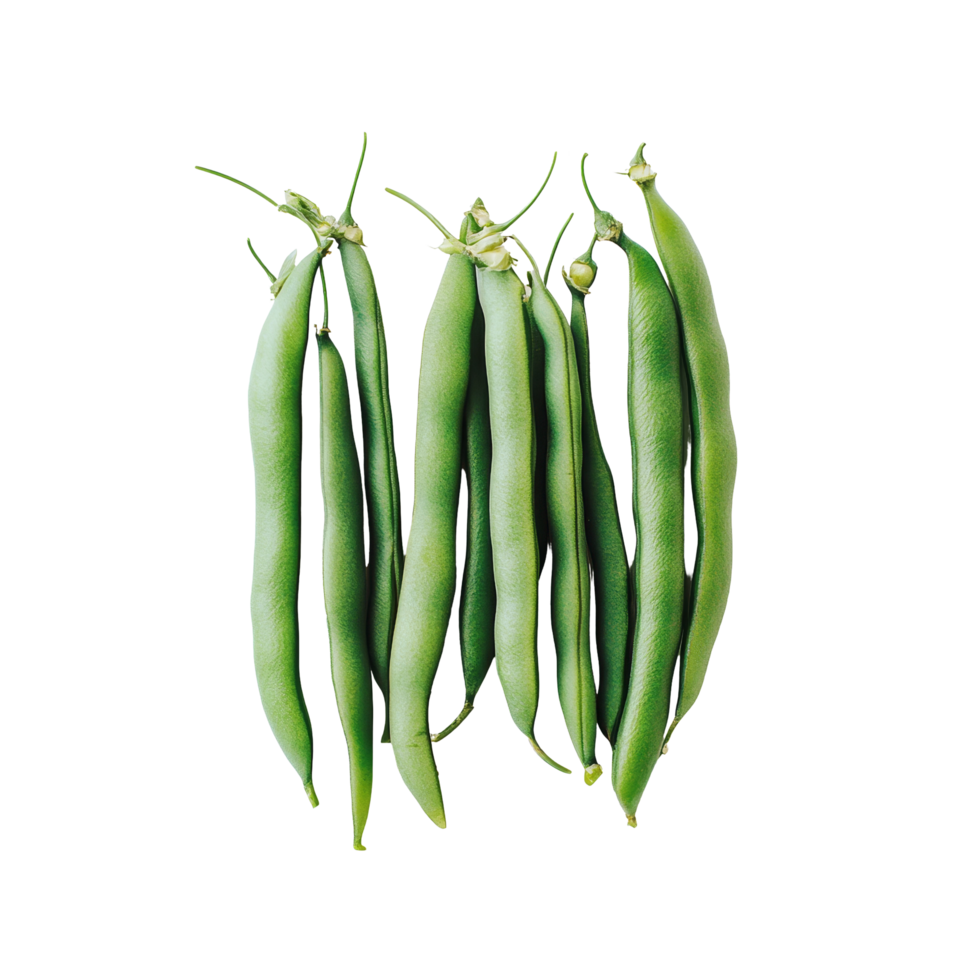 Fresh green beans arranged neatly on a bright transparent background showcasing their vibrant color and texture, green beans on transparent background png