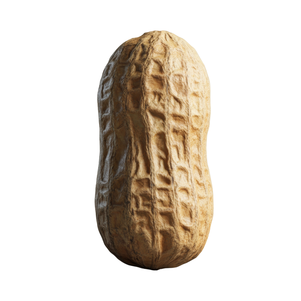 Isolated peanut on a plain background showcasing its natural texture and color, Peanut isolated png