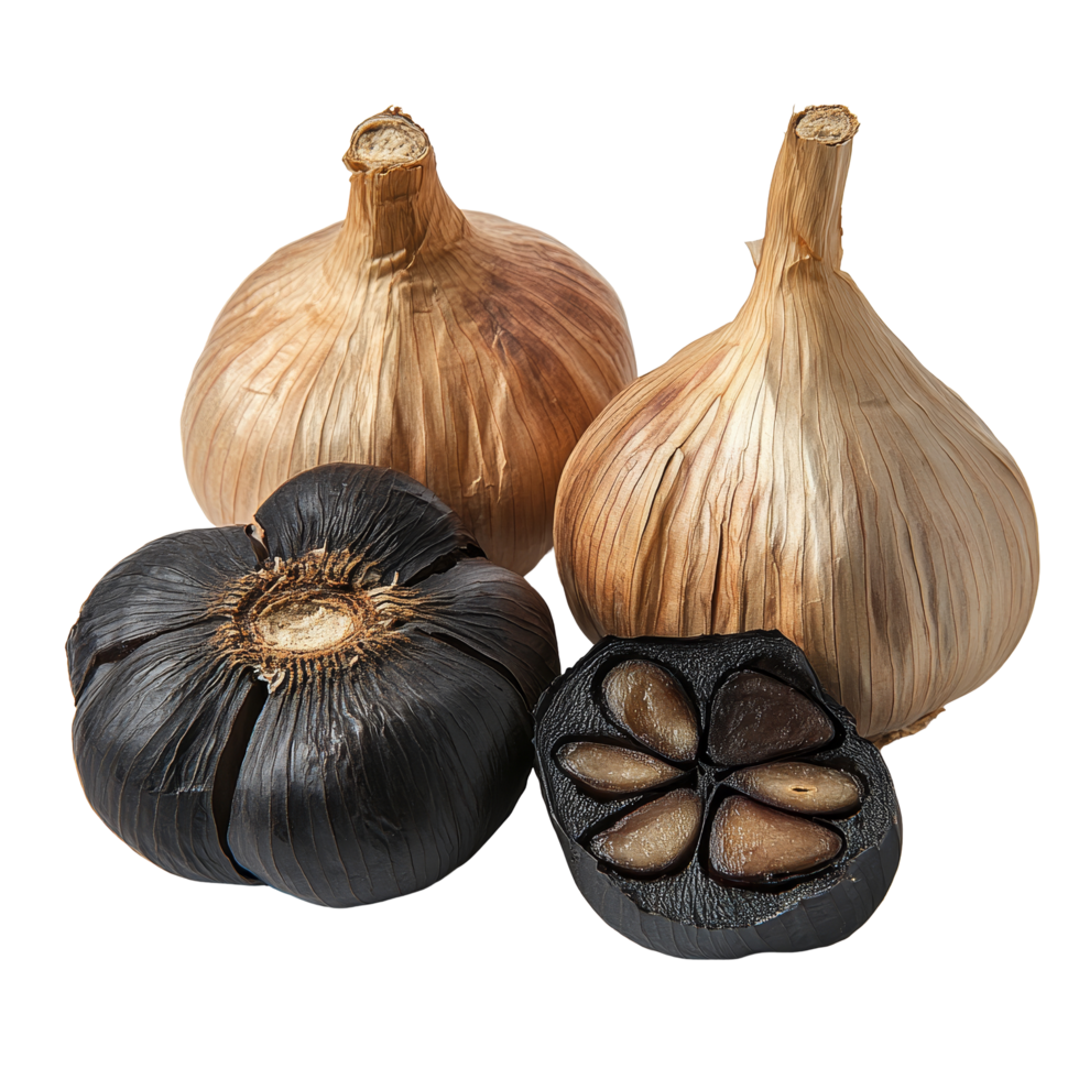Exploring the distinctive characteristics of black garlic bulbs against a pristine transparent backdrop, Black garlic bulbs on transparent background png