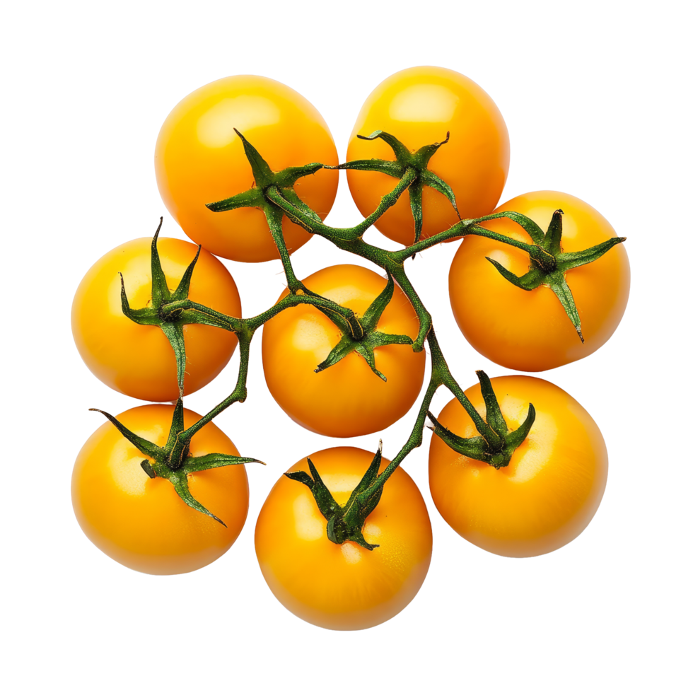 Fresh yellow tomatoes arranged in a cluster on a transparent background for healthy eating inspiration, Yellow tomatoes on transparent background png
