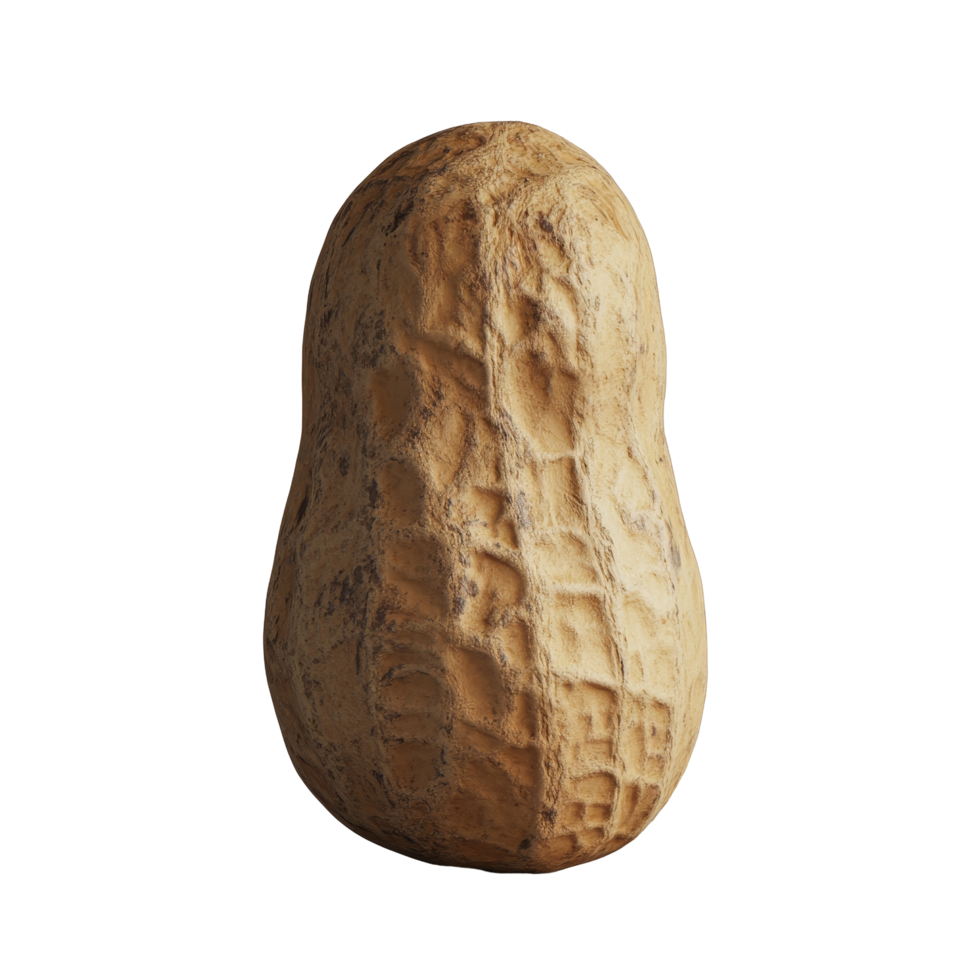 A single peanut on a neutral background, showcasing its natural texture and shape in an artistic arrangement, Single peanut isolated png