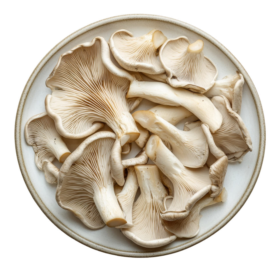 Fresh oyster mushrooms arranged neatly on a transparent plate isolated against a clean transparent background, oyster mushrooms in a plate isolated on transparent background png