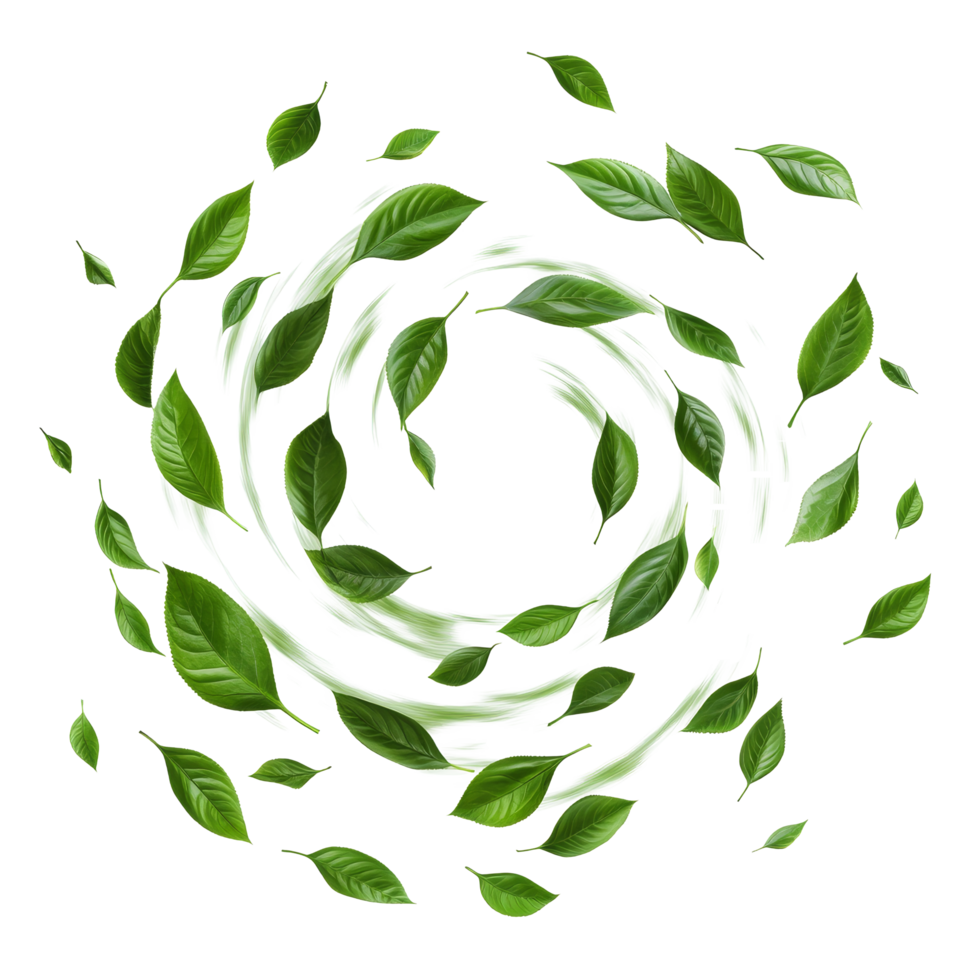 Abstract swirling motion of green leaves isolated on a transparent background, abstract green leaves swirling motion isolated transparent background png