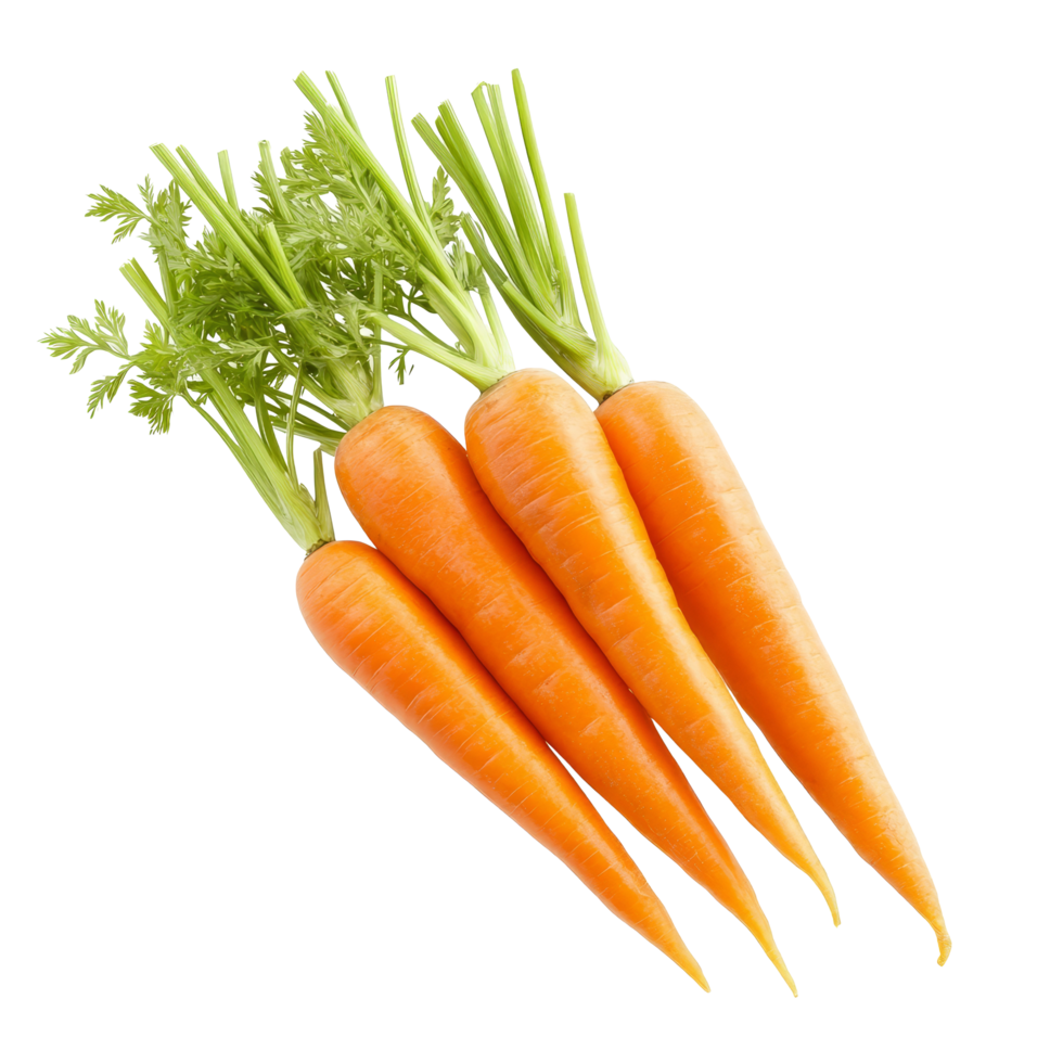 Fresh and vibrant carrots isolated on a transparent background showcasing their natural colors and textures, carrots isolated on transparent background png
