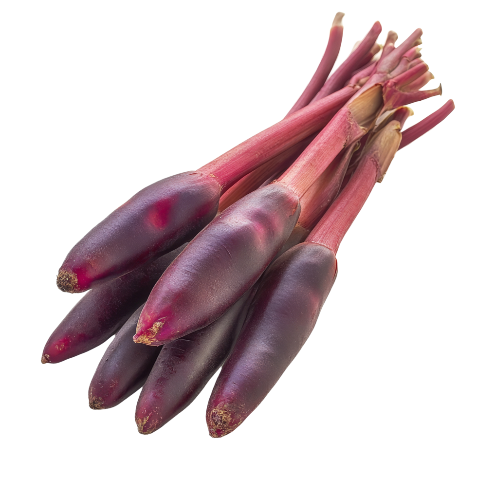 Fresh fingerroot Kaempfer Boesenbergia with vibrant purple skin on a clean transparent background, Fingerroot, Kaempfer, Boesenbergia in on transparent background png