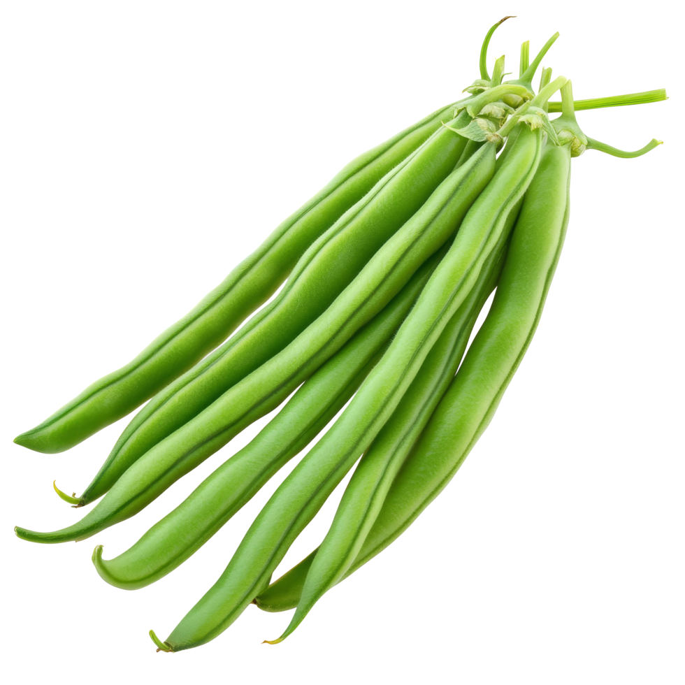 Isolated green bean seeds displayed on a transparent background showcasing their unique characteristics and color, Green beans seeds isolated on transparent background png