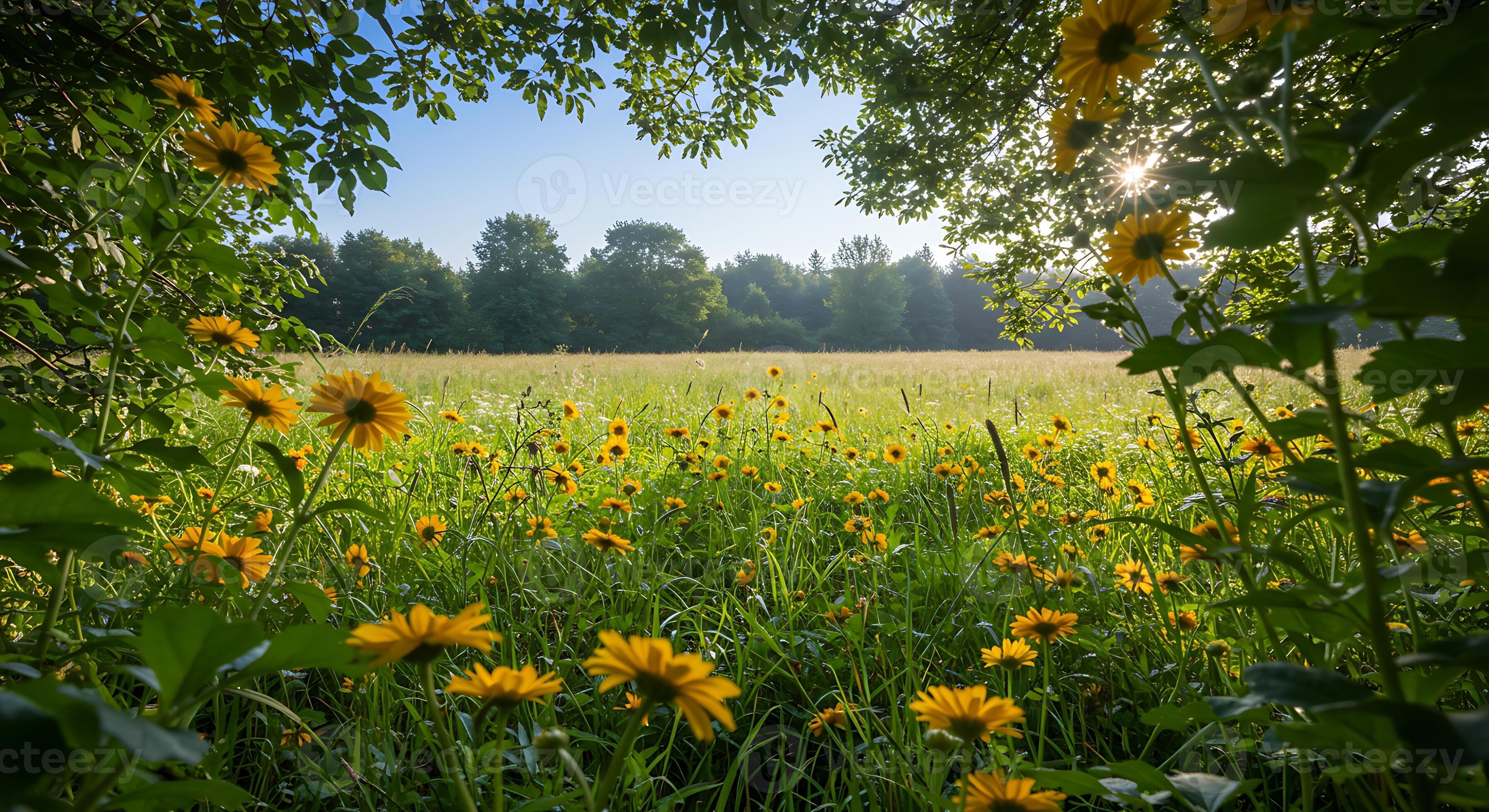 カシニョール 、【BUNCH OF FLOWERS IN MEADOW】 Colorful flower meadow in summer — Stock Photo © kelifamily