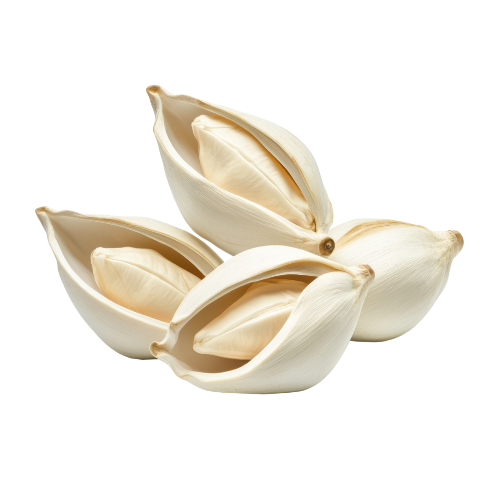 Isolated transparent champaka blossoms showcasing their unique shape and delicate beauty against a transparent background, transparent Champaka isolated on transparent background png