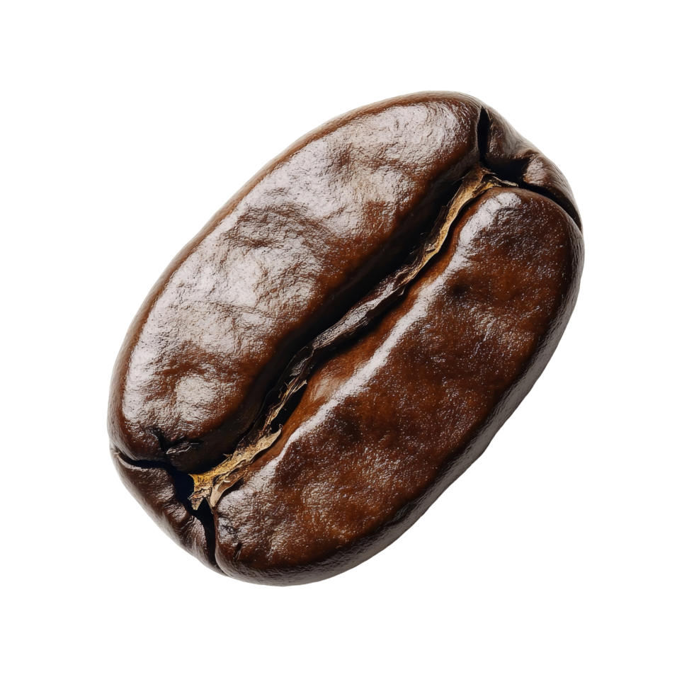 A single roasted coffee bean isolated on a transparent background showcasing its rich brown color and texture, coffee bean isolated on transparent background png