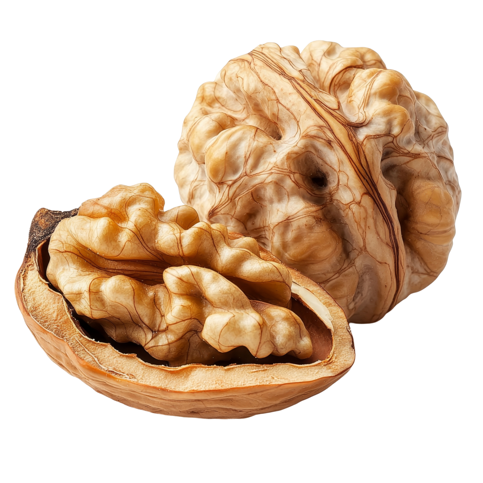 Isolated walnut in its shell showing intricate textures and natural patterns against a plain transparent background, Isolated walnut in shell png