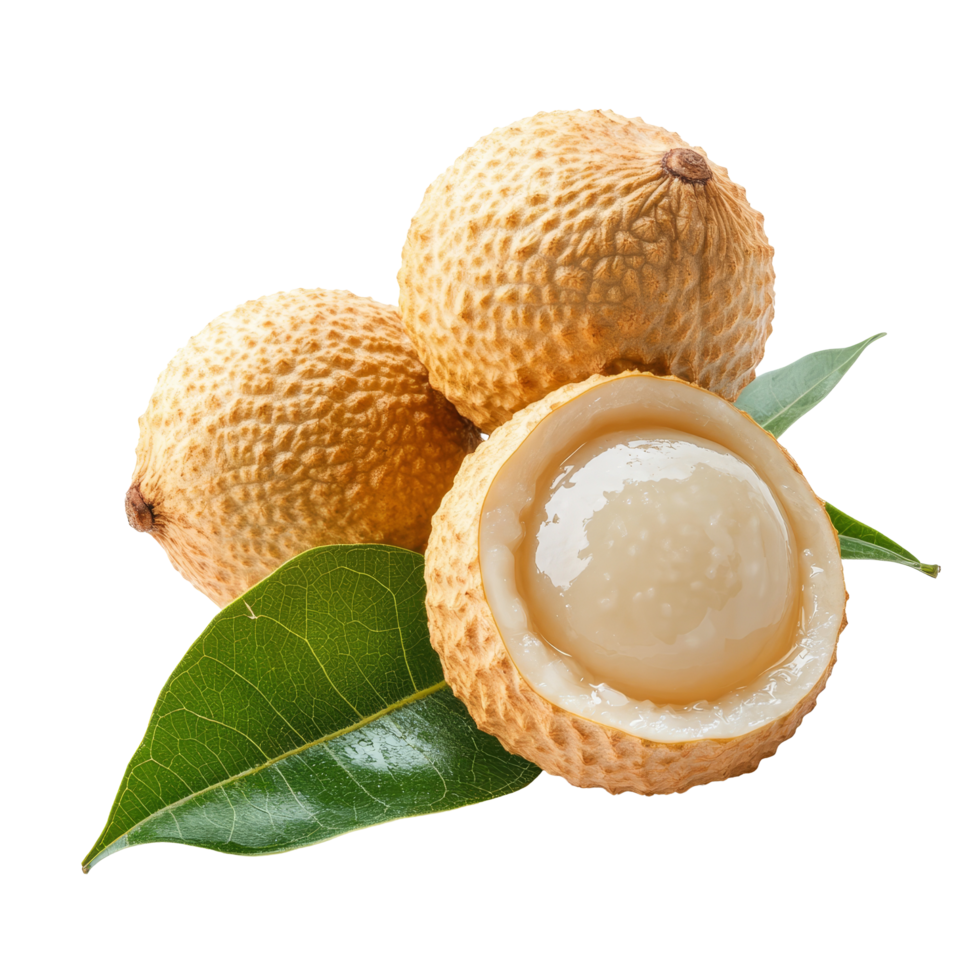 Fresh longan fruits with green leaves on a transparent background ready for serving, showcasing their natural appeal, fresh longan with leaf on transparent background png