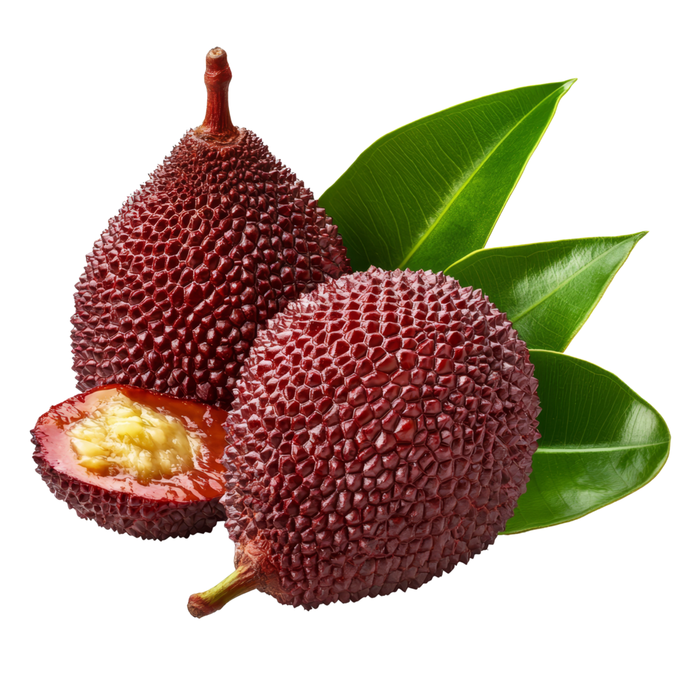 Fresh salak fruit with green leaves displayed on a clean transparent background highlighting its unique texture and color, Fruit Salak with leaf isolated on transparent background png