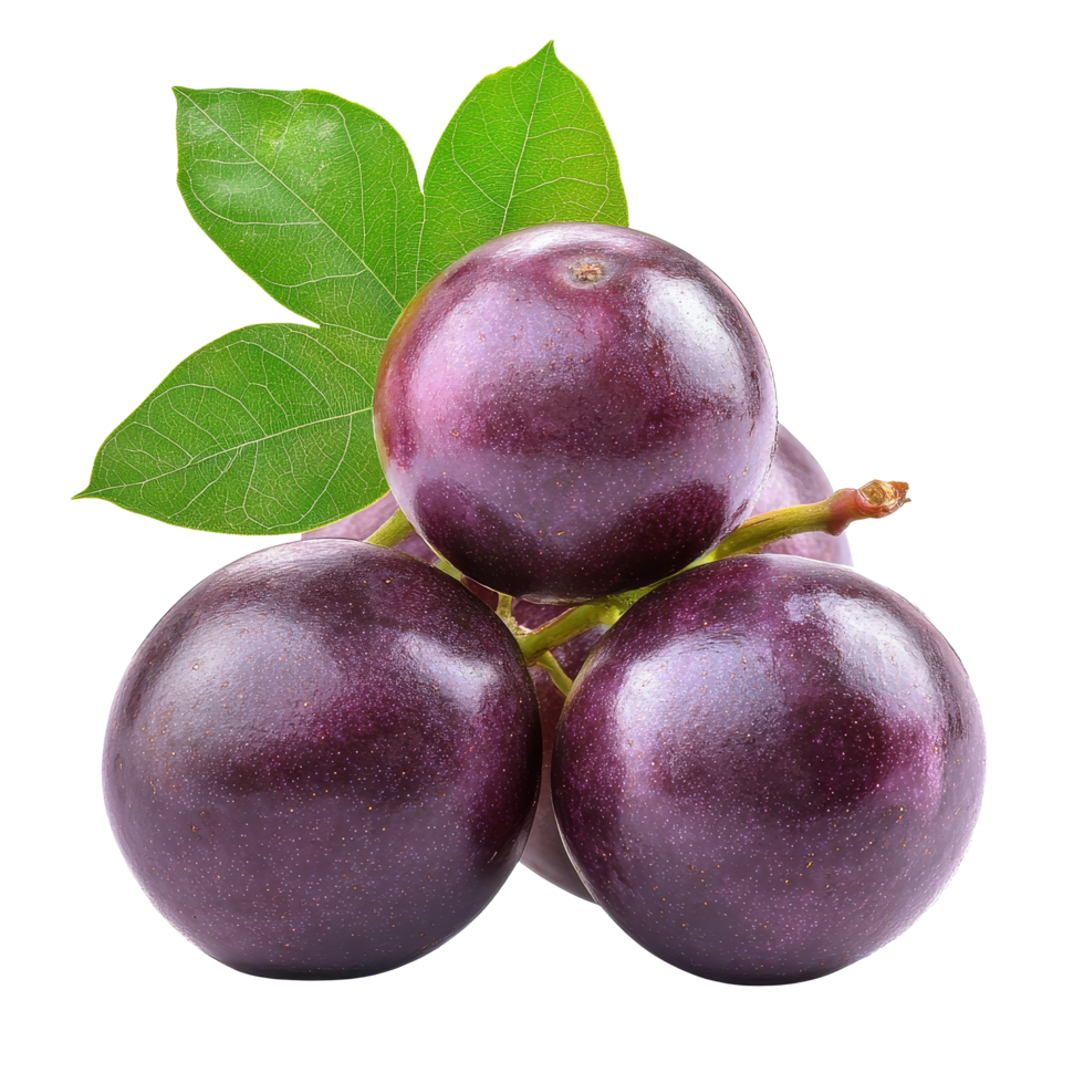 Burmese grape fruit showcasing rich color and texture on a simple transparent background, burmese grape, tropical fruit isolated on transparent background png