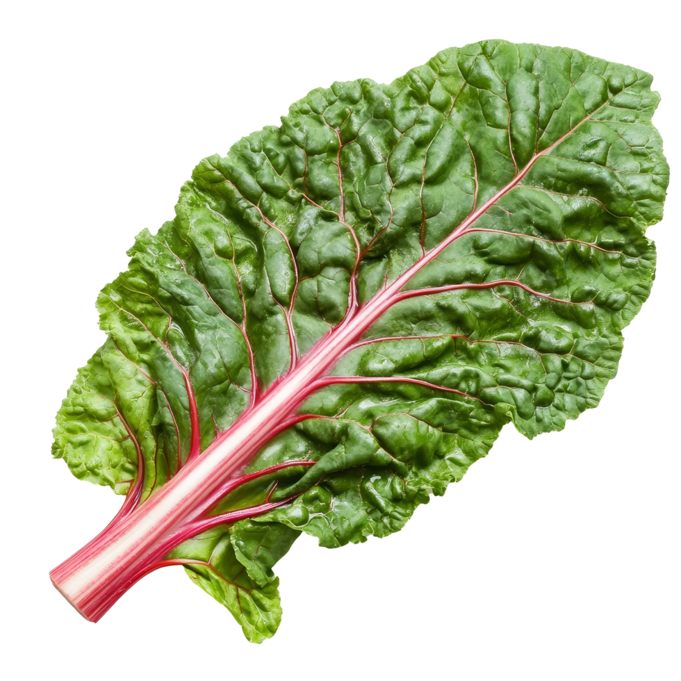 Fresh Swiss chard leaves isolated on a transparent background showcasing vibrant green and pink colors in detail, Swiss chard leaves vegetable isolated on transparent background png
