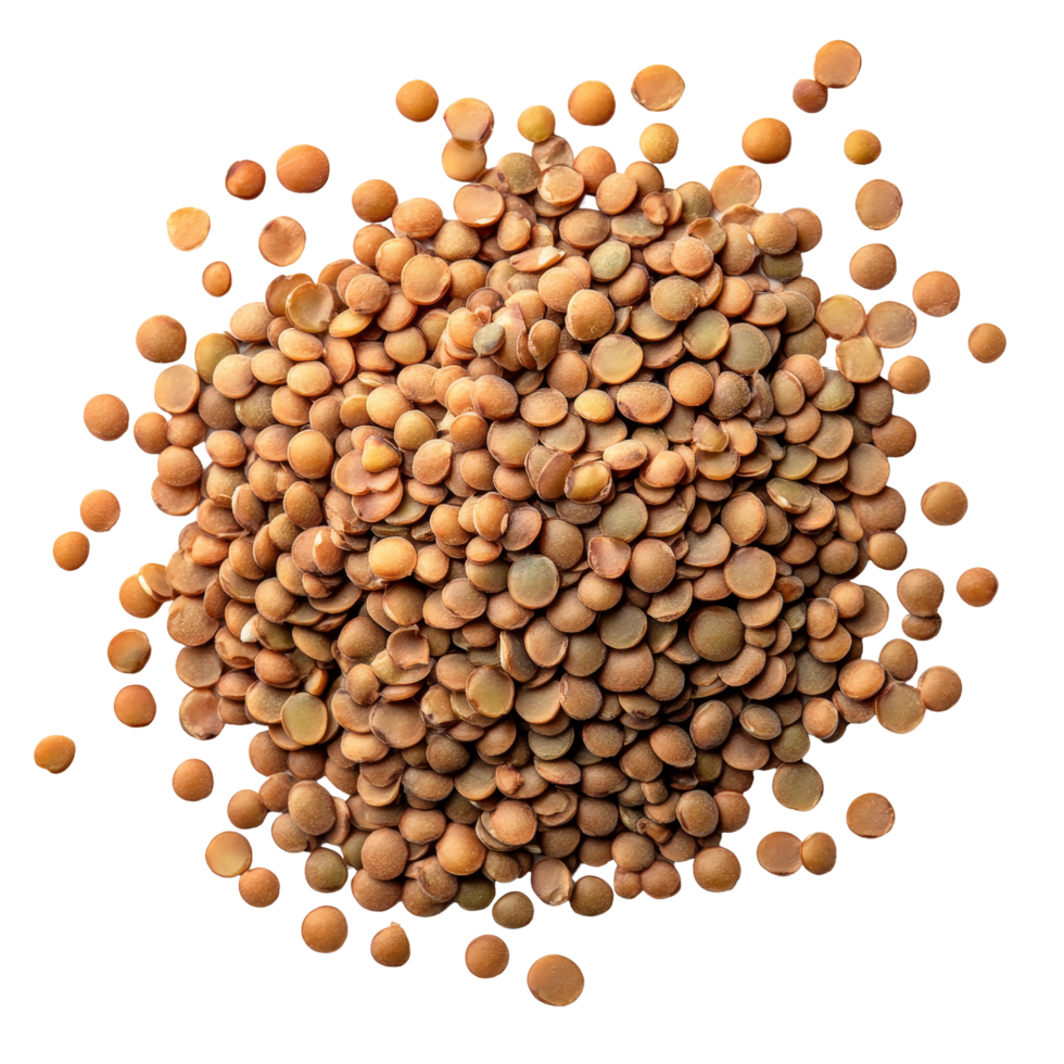 Brown lentils on a transparent background, highlighting their natural shape and color in an elegant display, Brown Lentils isolated on transparent background png