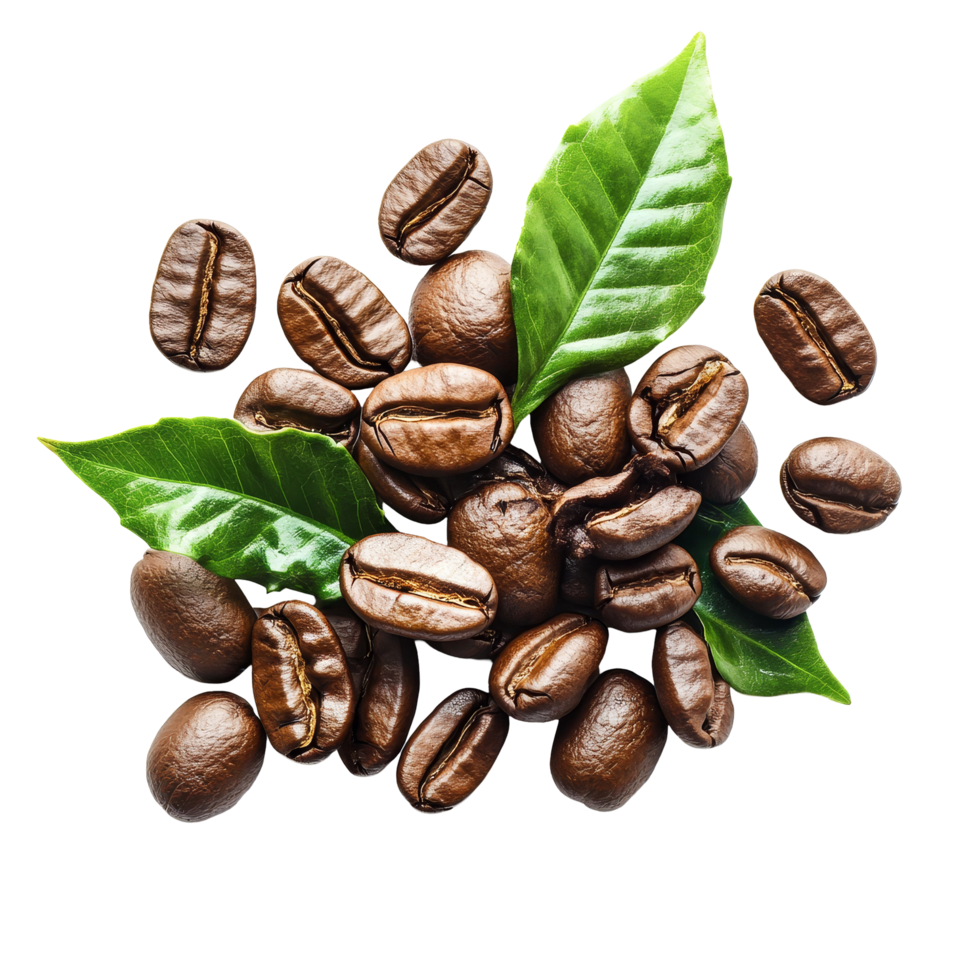 Fresh coffee beans with vibrant green leaves isolated on a transparent background highlight the beauty of natural ingredients, coffee beans with leaves isolated on transparent background png