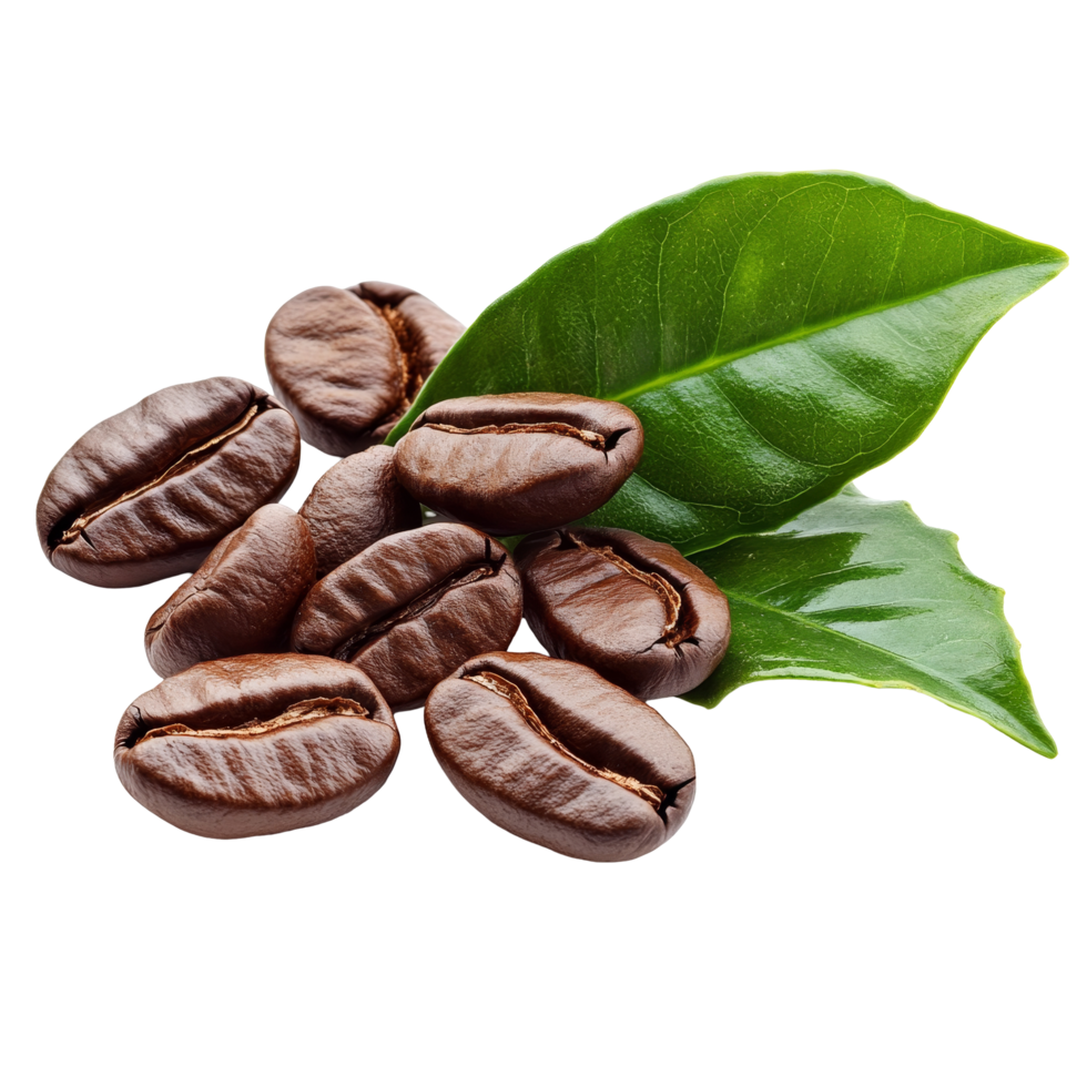 Freshly roasted coffee beans with vibrant green leaves on a clean transparent background, fresh roast coffee beans and leaf on transparent background png