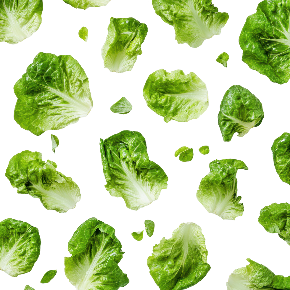 Freshly cut lettuce leaves scattered on a clean white surface presenting vibrant green colors and textures, lettuce leaves on Transparent background png