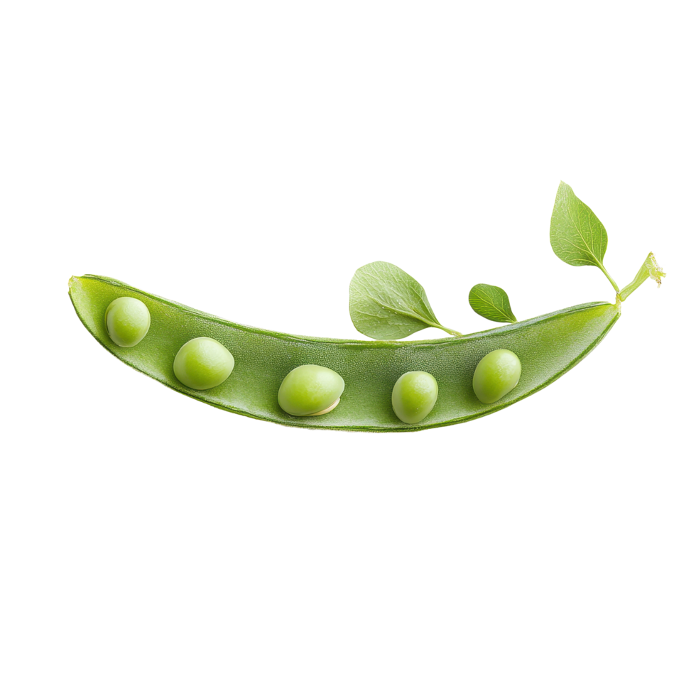 Fresh green pea pod isolated on Transparent background showcasing vibrant color and fresh appearance, pea isolated on background png