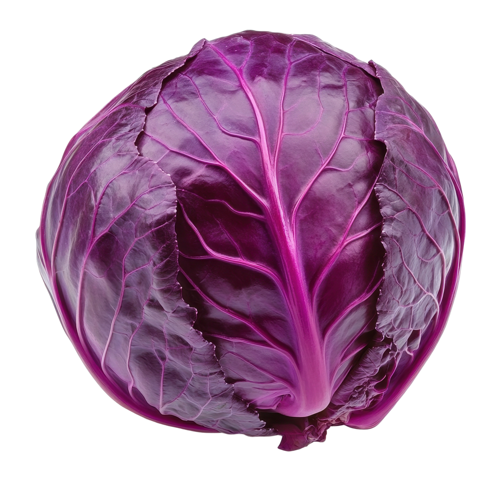 Red cabbage isolated on a Transparent background showcasing its vibrant color and unique texture, Red cabbage isolated on background png