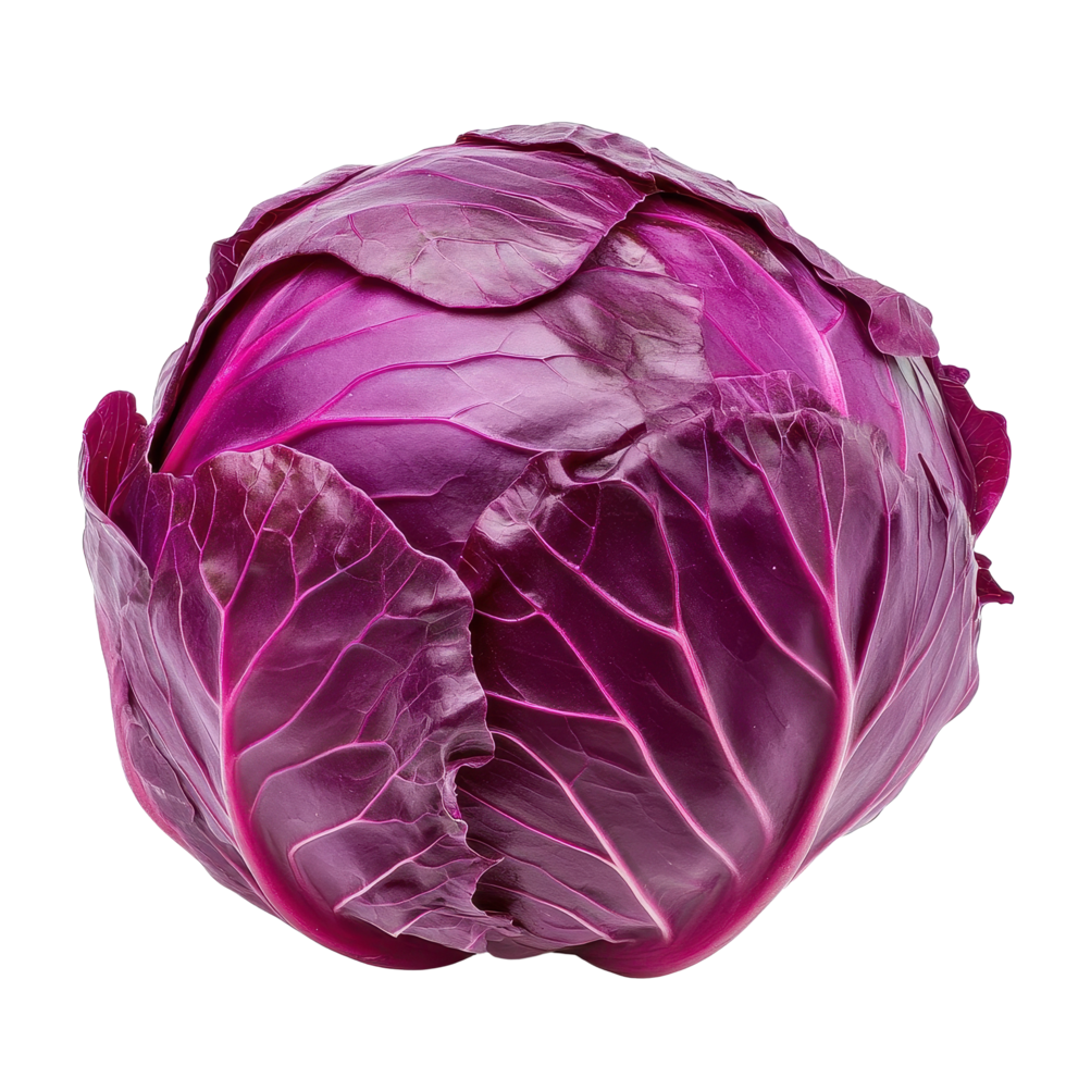 Fresh purple cabbage isolated on a clean Transparent background for culinary and health focused uses, purple cabbage isolated on background png