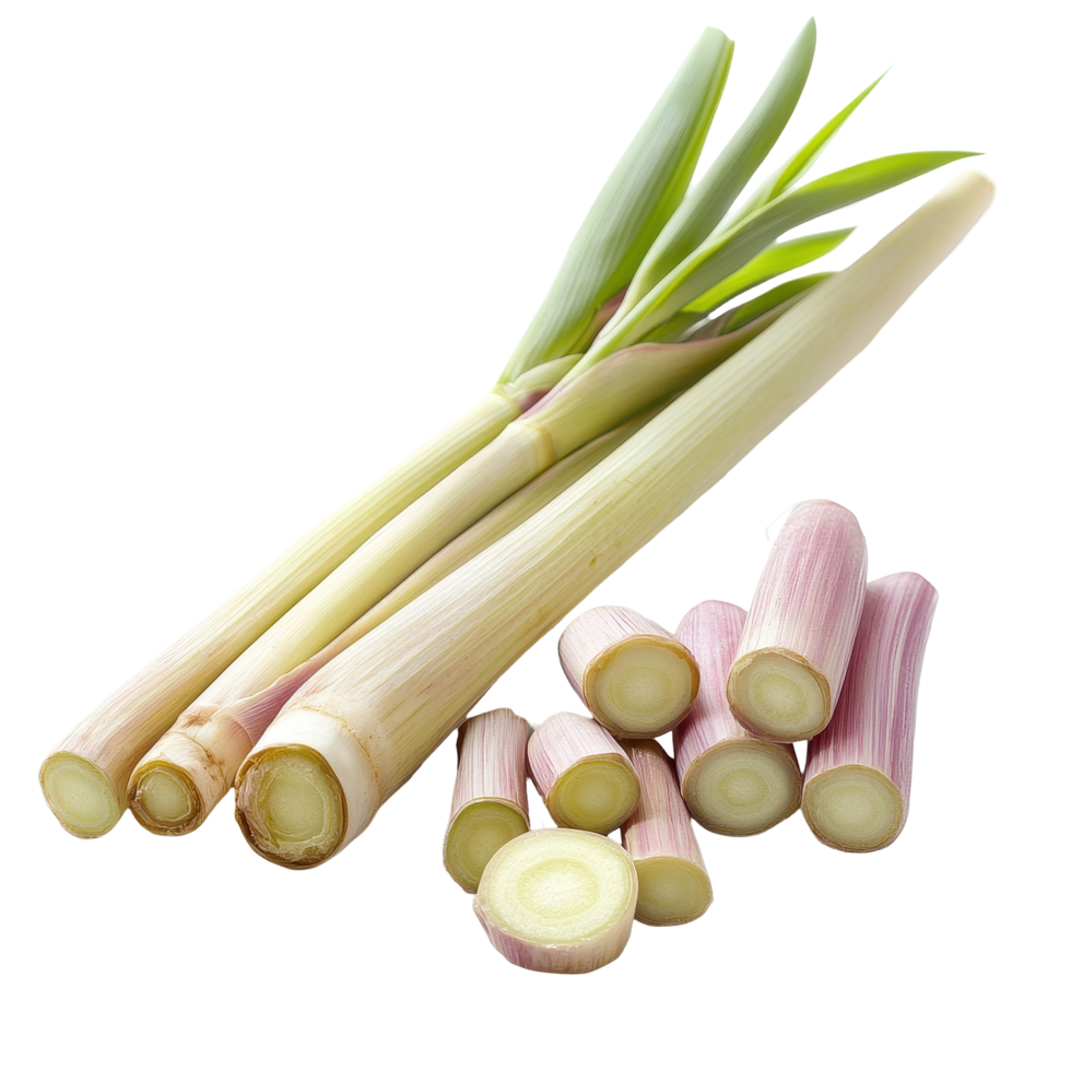 Freshly sliced lemongrass on a clean Transparent background ready for culinary use in dishes and beverages, slice lemongrass on background png