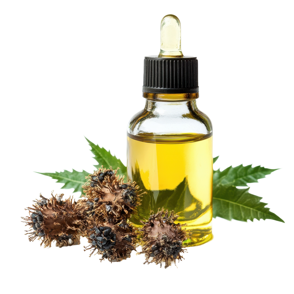 Castor oil bottle with castor seeds and leaves on white background highlighting natural ingredients, Castor oil plantisolated on white background png