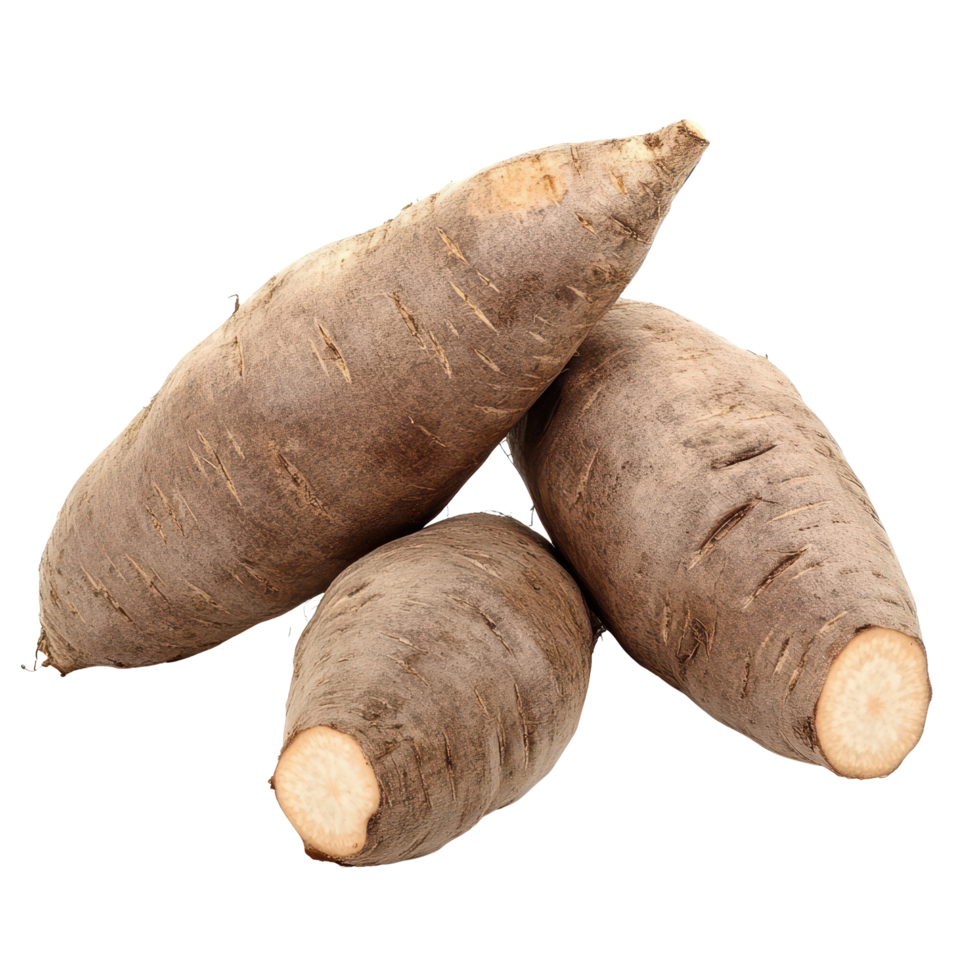 Yams on Transparent background showcasing their natural shape and texture for culinary use and nutrition, yams isolated on background png