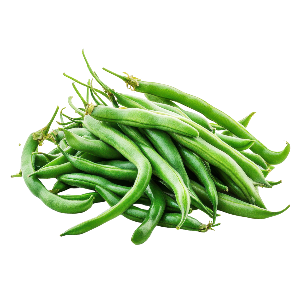 Fresh raw green beans on Transparent background ready for preparation in culinary dishes, Pile raw green beans isolated on background png