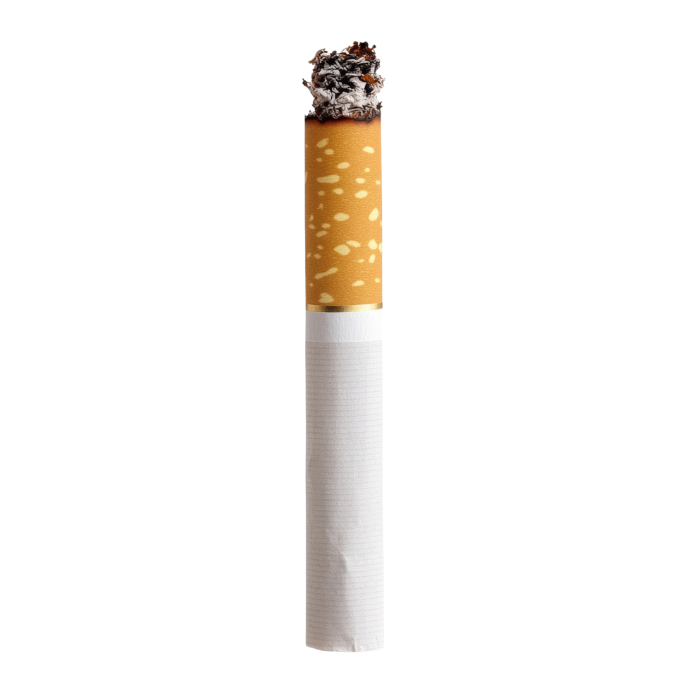 Tobacco cigarette on Transparent background highlighting its simplicity and design, single tobacco cigarette on isolated on background png
