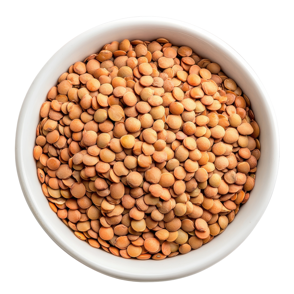 Lentils in a white bowl ready for cooking on a clean Transparent background, Uncooked lentils in white bowl isolated on background png