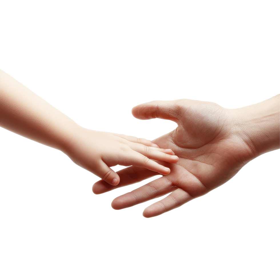 Connection between child and adult hands symbolizing trust and love on a white background, Child and adult human hands isolated on white background. png
