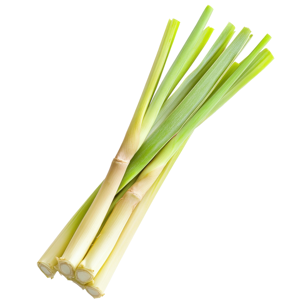 Fresh lemongrass stalks isolated on a Transparent background for culinary uses and aroma enhancement, slice of fresh Lemongrass isolated on background png