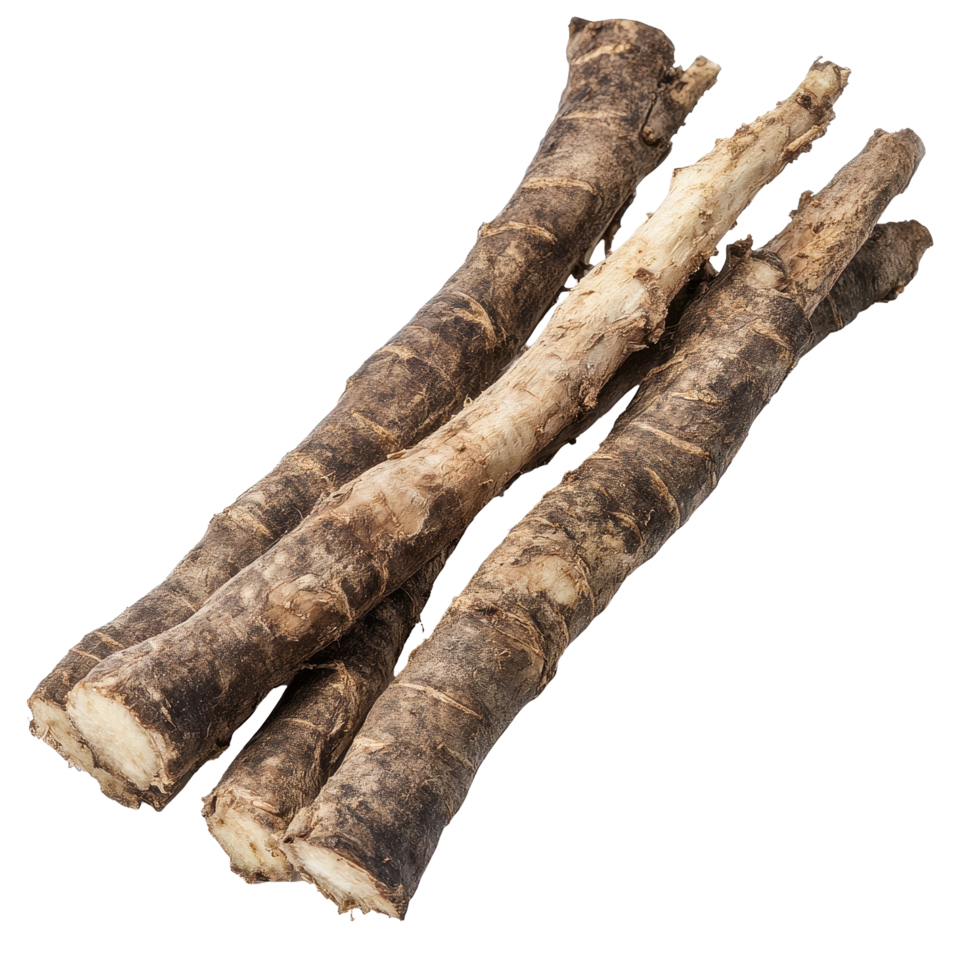 Burdock roots or kobo isolated on white background showcasing their natural texture and form, burdock roots or kobo isolated on white background png