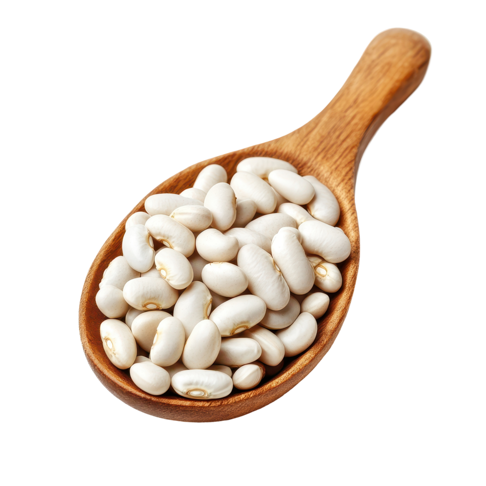 Heap of white beans resting in a wooden spoon over a clean white background for culinary use, Heap of white beans in wood spoon isolated on white background png
